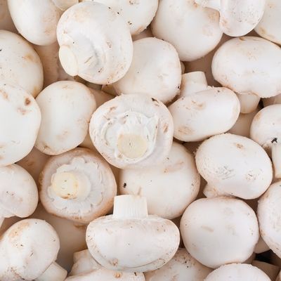 White Mushroom