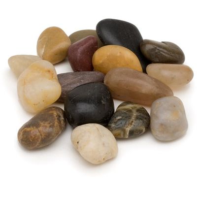 Petco 16 Z Rock Multi Malibu