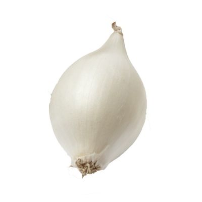 Boiler Onion