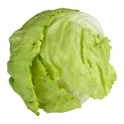 USDA Produce Organic Iceberg Lettuce