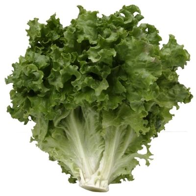 Escarole