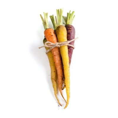 Organic Rainbow Carrot Bunch
