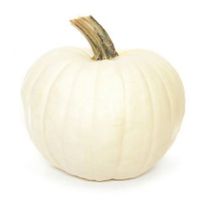 Bay Baby Produce Pumpkin, Casper