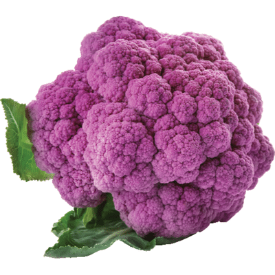 Purple Cauliflower