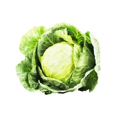 Organic Cabbage