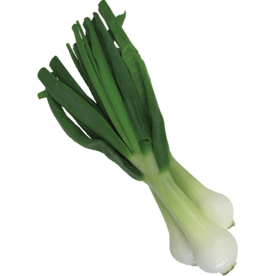 Vidalia Onion