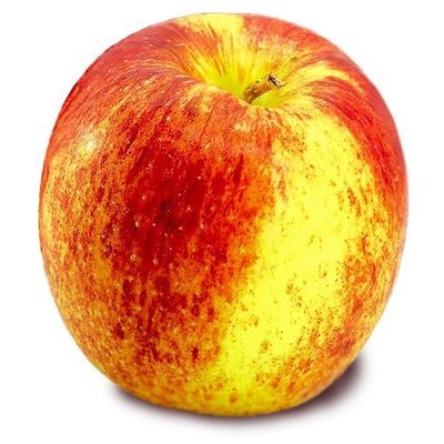 Envy Apples