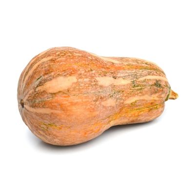 Organic Squash