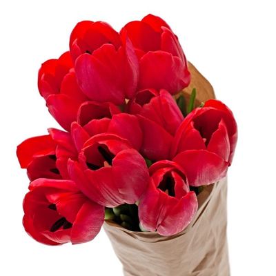Fresh Cut Tulips