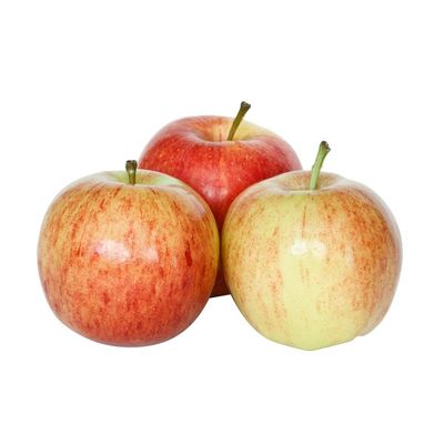 Gala Apple Bag