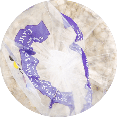 Lundberg Family Farms Brown Rice Organic Rice Cakes Salt-Free