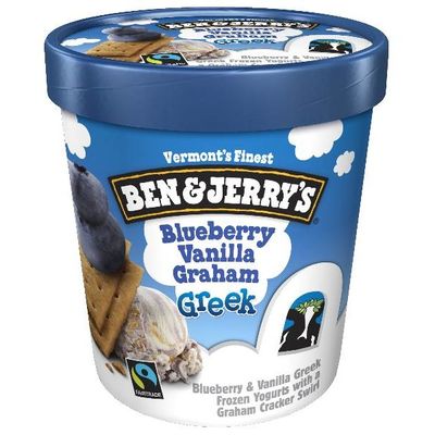 Ben & Jerry's Frozen Yogurt Blueberry Vanilla Graham Greek (16 fl oz) - Instacart