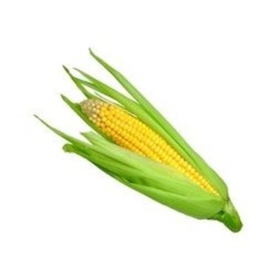Yellow Corn