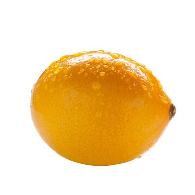 Organic Meyer Lemon Bag