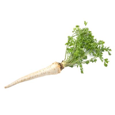 Parsley Root Bunch 1 Bunch Instacart