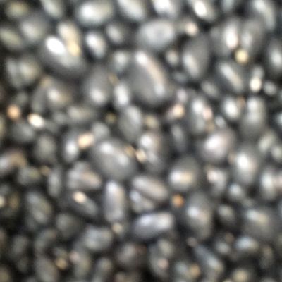 Beans