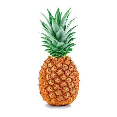 Jumbo Golden Pineapple