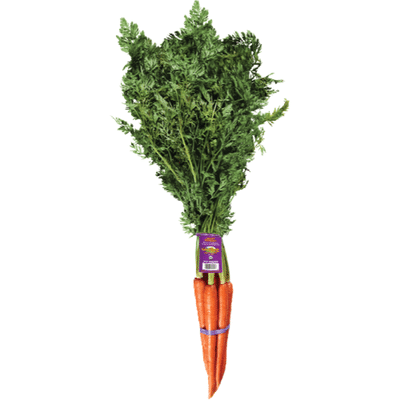 Organic Carrot Bunch