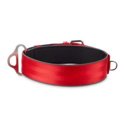 Good2 Go Extra Large to Extra Extra Large Red Big Dog Buckle Collar