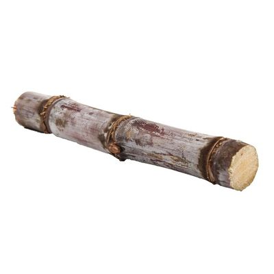 Sugar Cane