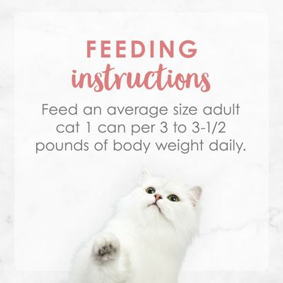 Fancy Feast Pate Wet Cat Food, Medleys Wild Salmon Primavera With Garden Veggies & Greens
