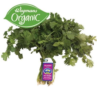 Organic Cilantro