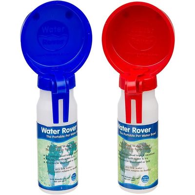 Petco Water Bottle 4" Assorted