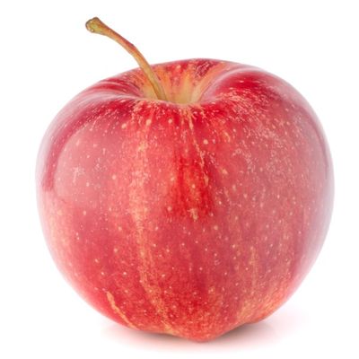 Pearmain Apple