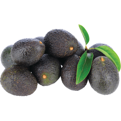 Hass Avocado Bag