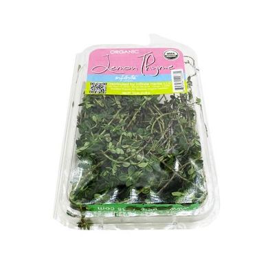 Infinite Herbs Organic Lemon Thyme