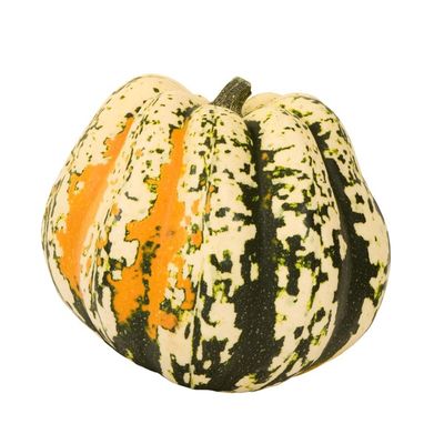 Carnival Squash