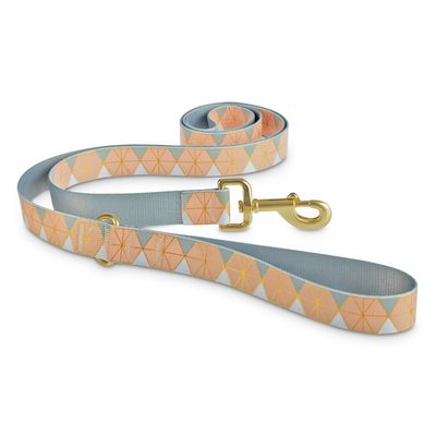 Good2 Go 6' Pink Gray Geo Dog Lead