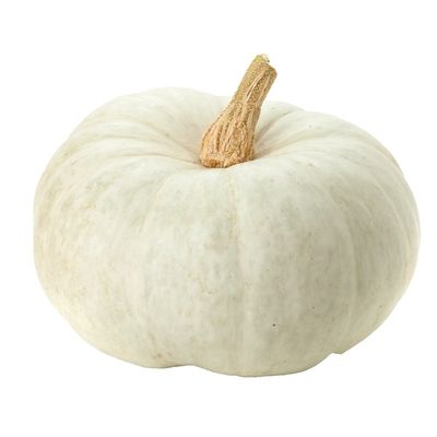Organic White Mini Pumpkin