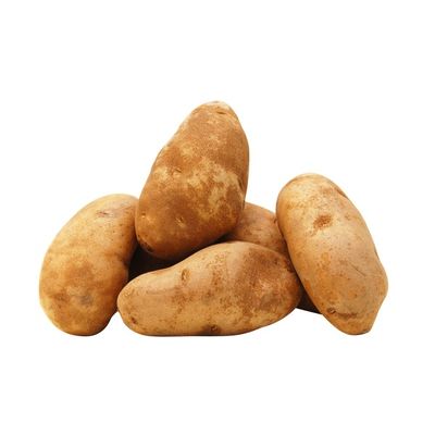 Russet Potato