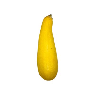 Organic Yellow Squash