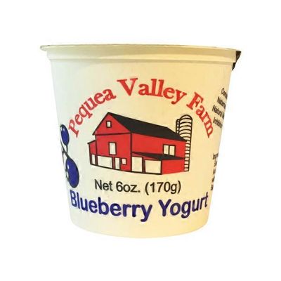Pequea Valley Farm Blueberry Yogurt