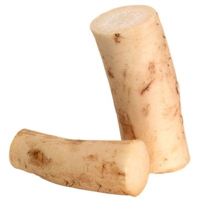 Daikon Radish