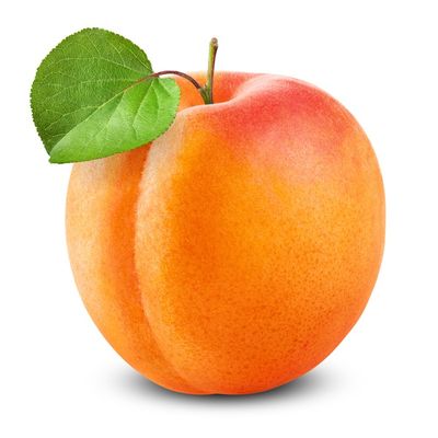 Organic Apricot