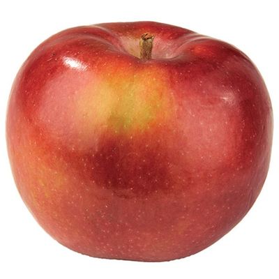 McIntosh Apple