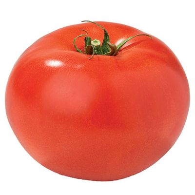 Beefsteak Tomato