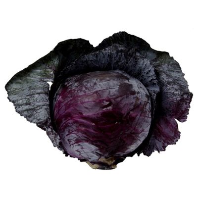 Red Cabbage