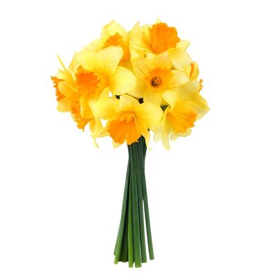 Farm Fresh Bouquet