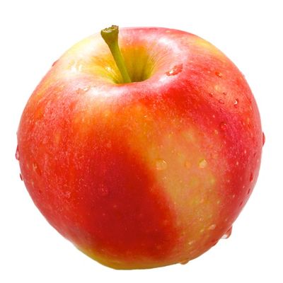 Autumn Glory (Huaguan) Apple