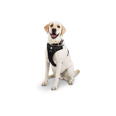 Good2 Go Extra Large/ Extra Extra Large Black Front Walk Dog Harness