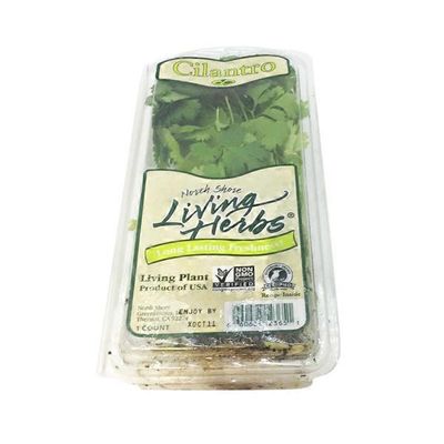 Herb Cilantro Clamshell