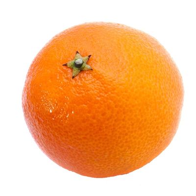Satsuma Bag