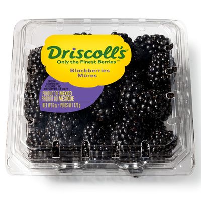 Driscoll's Blackberries