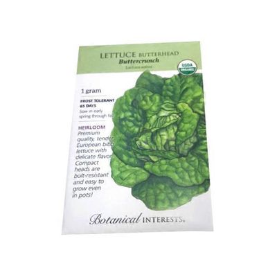 Botannical Interest Lettuce Romaine Parris Island Cos Certified Organic Heirloom Seeds