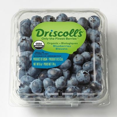 blueberries driscoll