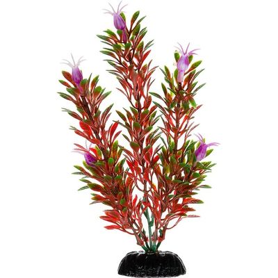 Petco Red & Green Foreground Aquarium Plant